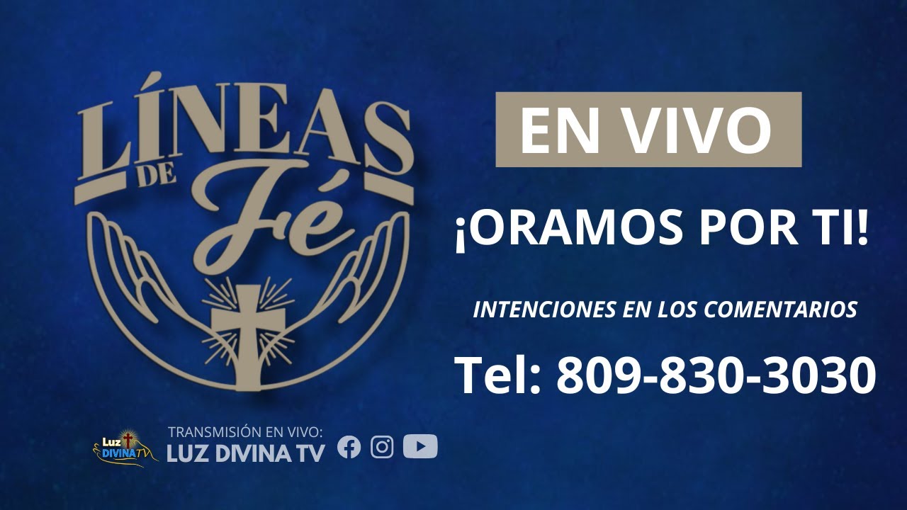 He venido a llamar a los pecadores Marcos 2, 12-17 - Lineas de Fe