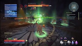 Skyforge D1 NMs*