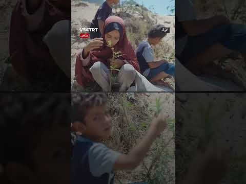 معاناة نازحين يمنيين: البحث عن الطعام وقسوة الظروف