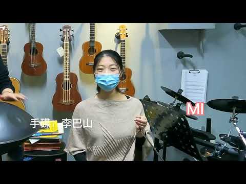 《葬花吟》手碟，"The Song of Funeral Flowers", Hand Disc。good music，handpan