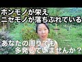 【二極化の極まり】偽善者が暴かれる時代の到来