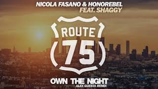 Nicola Fasano & Honorebel Feat Shaggy - Own The Night (Alex Guesta Tribal Mix)