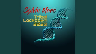 Flashback Again - Sylvin Marc