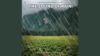 The Sound of Rain, Pt. 28
