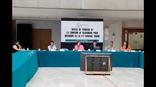 Primera Mesa de Trabajo de la Comisión de Diversidad Para Discusión de la Ley General Trans