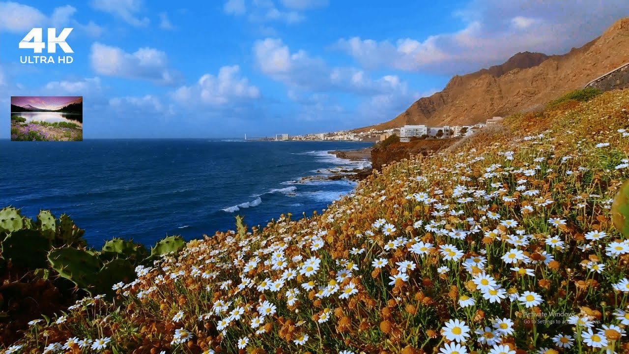 BEST HOWLING WIND SOUNDS AND CALMING CHIMES MUSIC OF ALL TIME YouTube