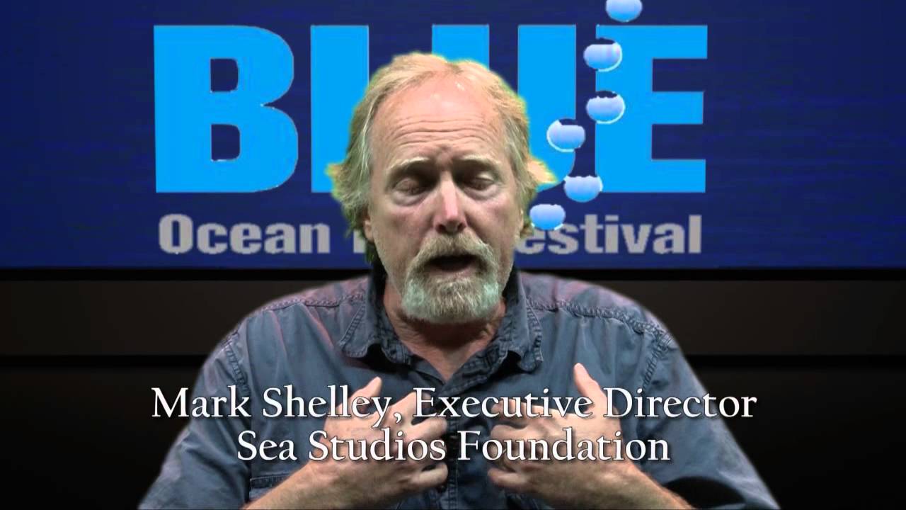 BLUE Ocean Film Festival - Mark Shelley on the Uniqueness of the Festival broadcasting definition