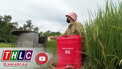 Khó khăn trong việc thu gom, xử lý bao bì thuốc bảo vệ thực vật| THLC
