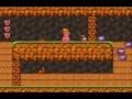 SMB2 100 All Mushrooms Walkthrough 6 3