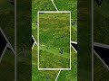 The Cricket Angle You've Never Seen #DroneShots #CricketFans #GameDay