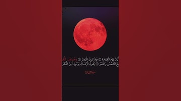 #سورة_القيامة #ياسر_الدوسري #اكسبلور #cat #المصحف #yasseraldossary