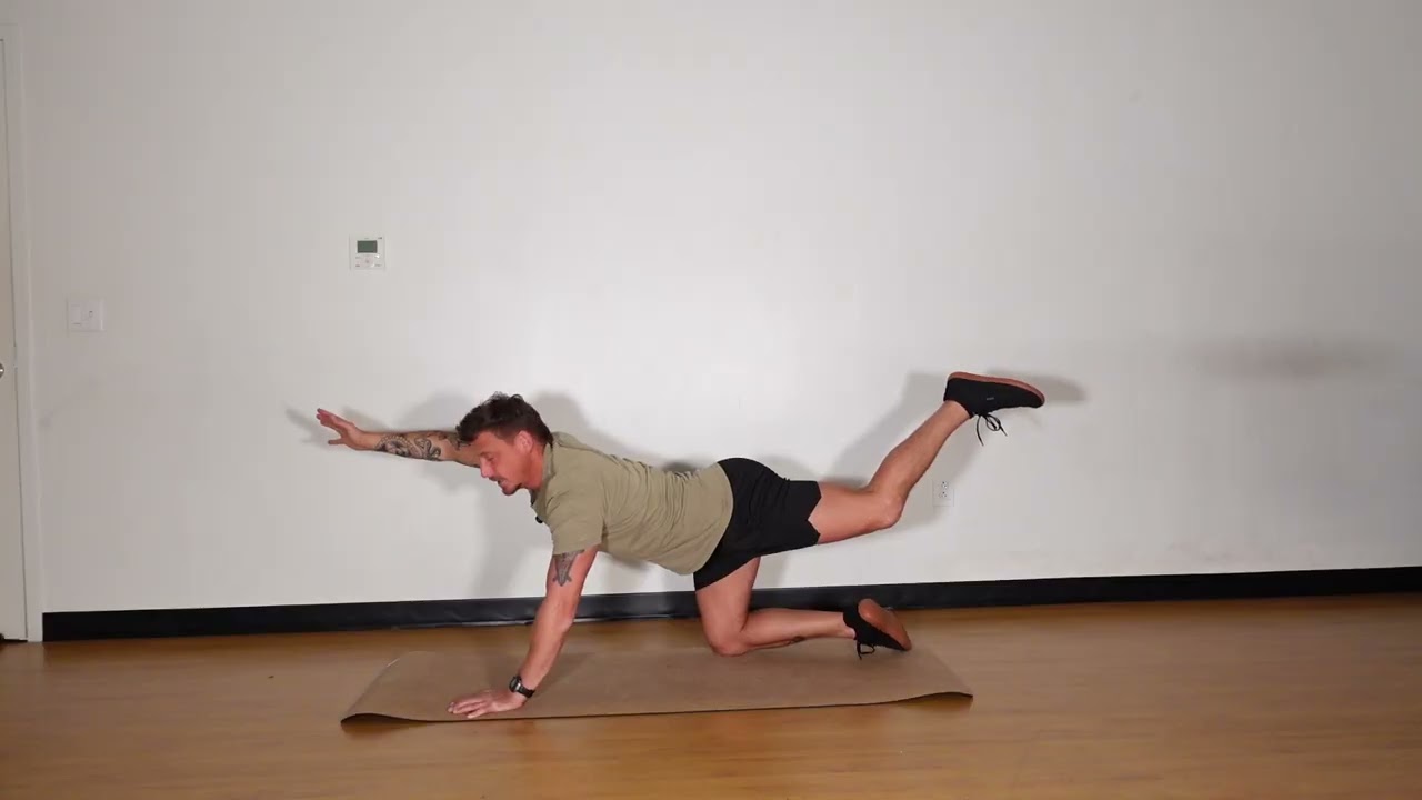 Bird Dog Knee To Elbow