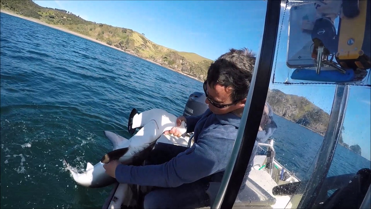 KeriKeri Fishing YouTube