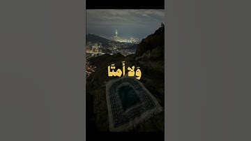 قرآن كريم ❤️‍🩹 #الرحمن #لايك #المصحف #تصويري #راحة_نفسية #اكسبلور