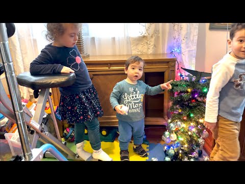 ვინ ჩამოაგდო ნაძვისხე?!