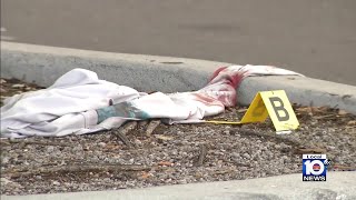 Miami-Dade police respond to shooting in Midway Crossings parking lot