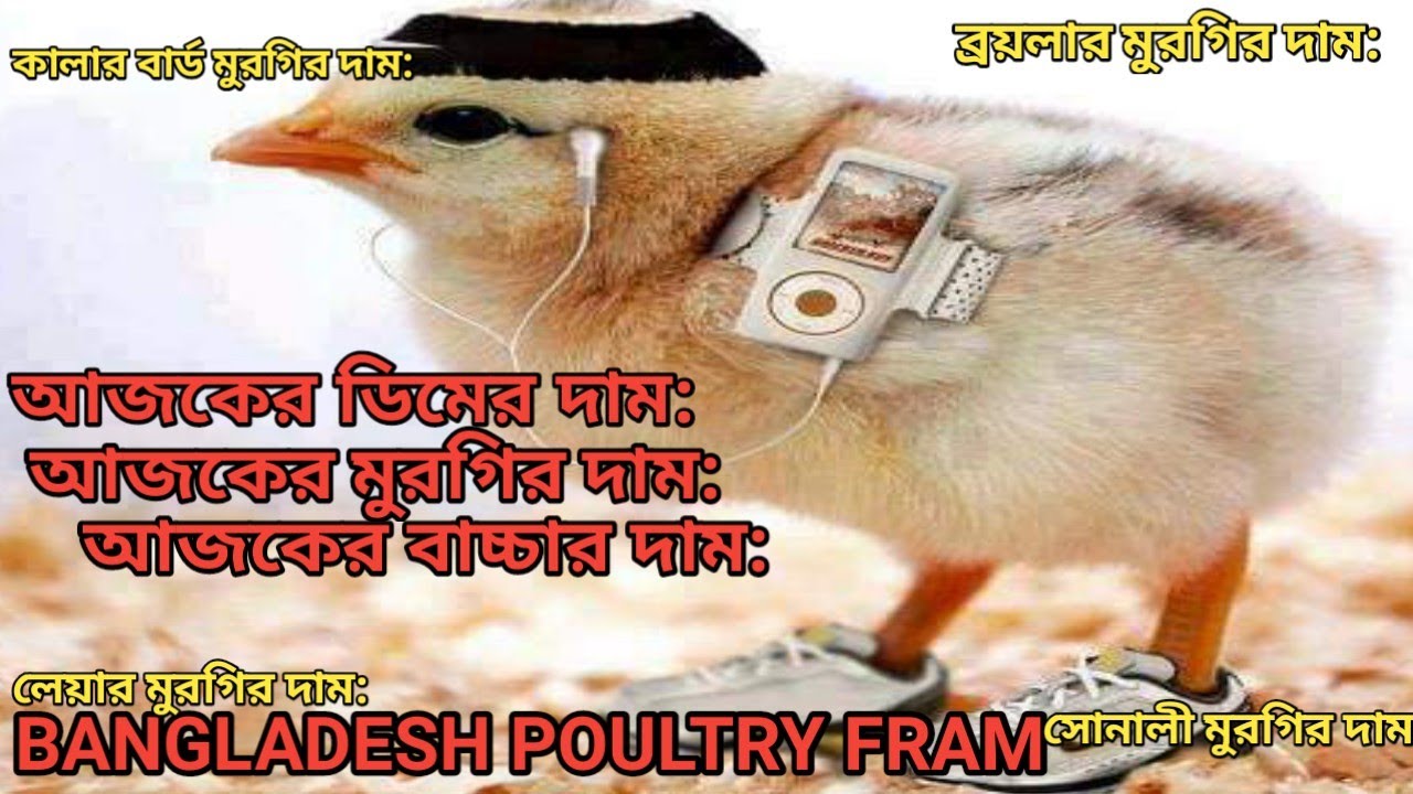 nourish poultry & hatchery Itd নারিশ পোল্ট্রি broiler chicken price