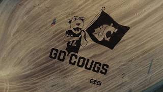 Welcome to Cougar Country | BECU Net Worth