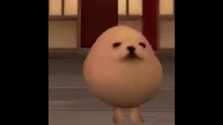Eggdog does thing