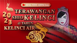 Terawangan Shio Kelinci di Tahun Kelinci Air (2023)