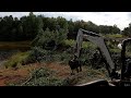 Clearing around a Pond