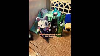 Voz de @hernanmartinezl #batman #nolan #ternurin #ternurines #calicocritters #sylvanianfamilies