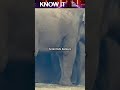Did You Know Elephants Can “Listen” With Their Feet?