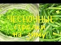 Чесночные СТРЕЛКИ на ЗИМУ. Супер БЫСТРЫЕ рецепты! 2 СПОСОБА!