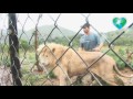 Kevin Richardson with White Lion Thor