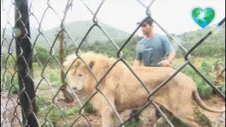 Kevin Richardson with White Lion Thor