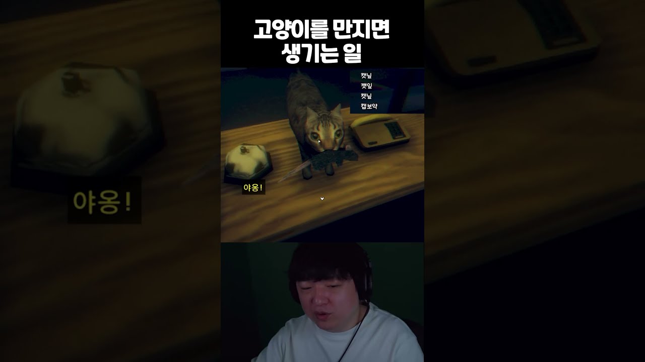 해외에서 200만 명이 넘게 본 그 영상