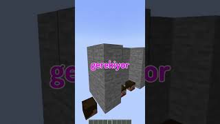 Minecrafts Most Difficult Park