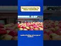 #Fermentation tank  # Distillation axe  # Brewing processing line  # Pre processing line