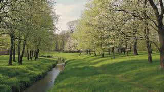 Spring Green Hills & Flowing Stream  | 2 Hour Frame TV Art Screensaver | 4K TV Art screenshot 1