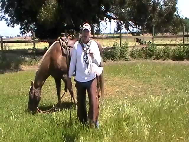 How to connect or tie Mecate Reins to Bosal - Adjusting Tying Bosal Reins - Rick  Gore Horsemanship 