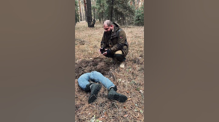 В лесу люди пропадают без вести