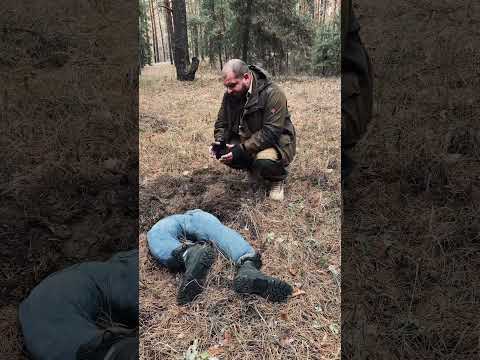 В лесу люди пропадают без вести