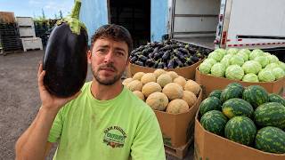 Filling A Massive Order Of Vegetables