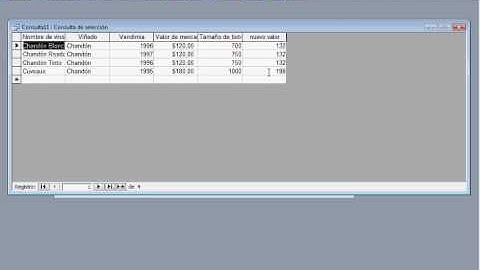 video tutorial access campos calculados