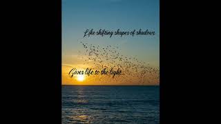 Haiku by Syllabist #haiku #poem #poetry #literature #starlings #murmuration #nature #birds