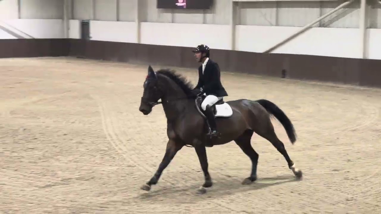 Leestone Nicolas | 1.30m Addington