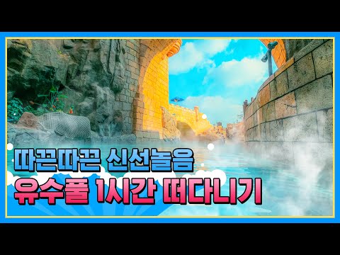 짱재영님) <strong>평온</strong> 캐리비안 베이 버전