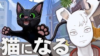 ﾈｺﾁﾔﾝ😊