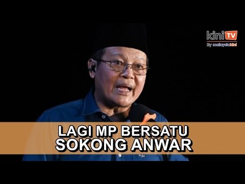 Bersatu cuba takutkan wakil rakyat sokong Anwar, Dr Zulkafperi