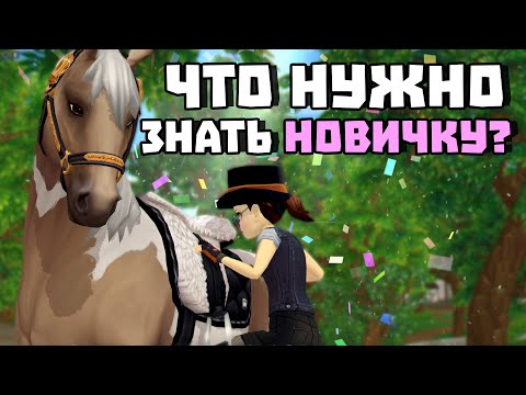 Видео: Что нужно знать НОВИЧКУ?