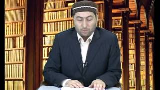 Размышления о созданиях Размышления о созданиях
