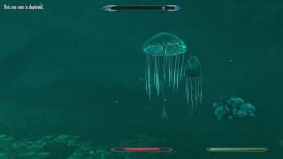 Crimson Nirnroot Locations! Skyrim AE