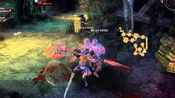 [TERA] Level 20 instance Slayer solo. 3/4