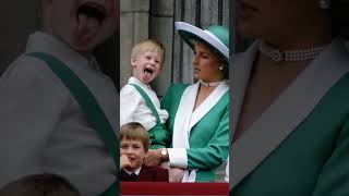 Princess Diana Matching Outfits With Her Children