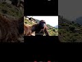 Yati # nepali ma kati haru last ramari